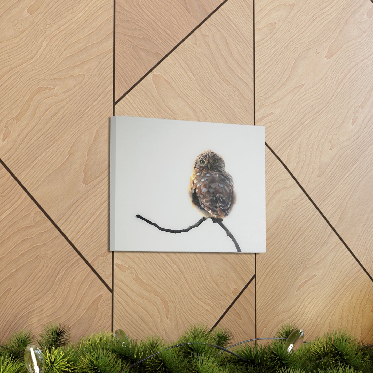 "Perched Owl" Stretched Canvas