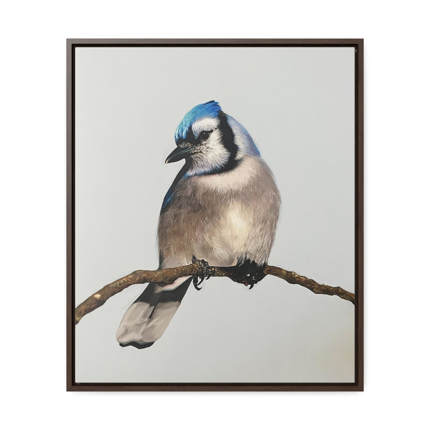 "Blue Jay" Framed Canvas