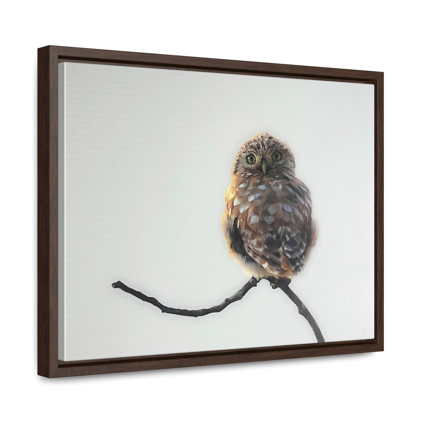 "Perched Owl" Framed Canvas