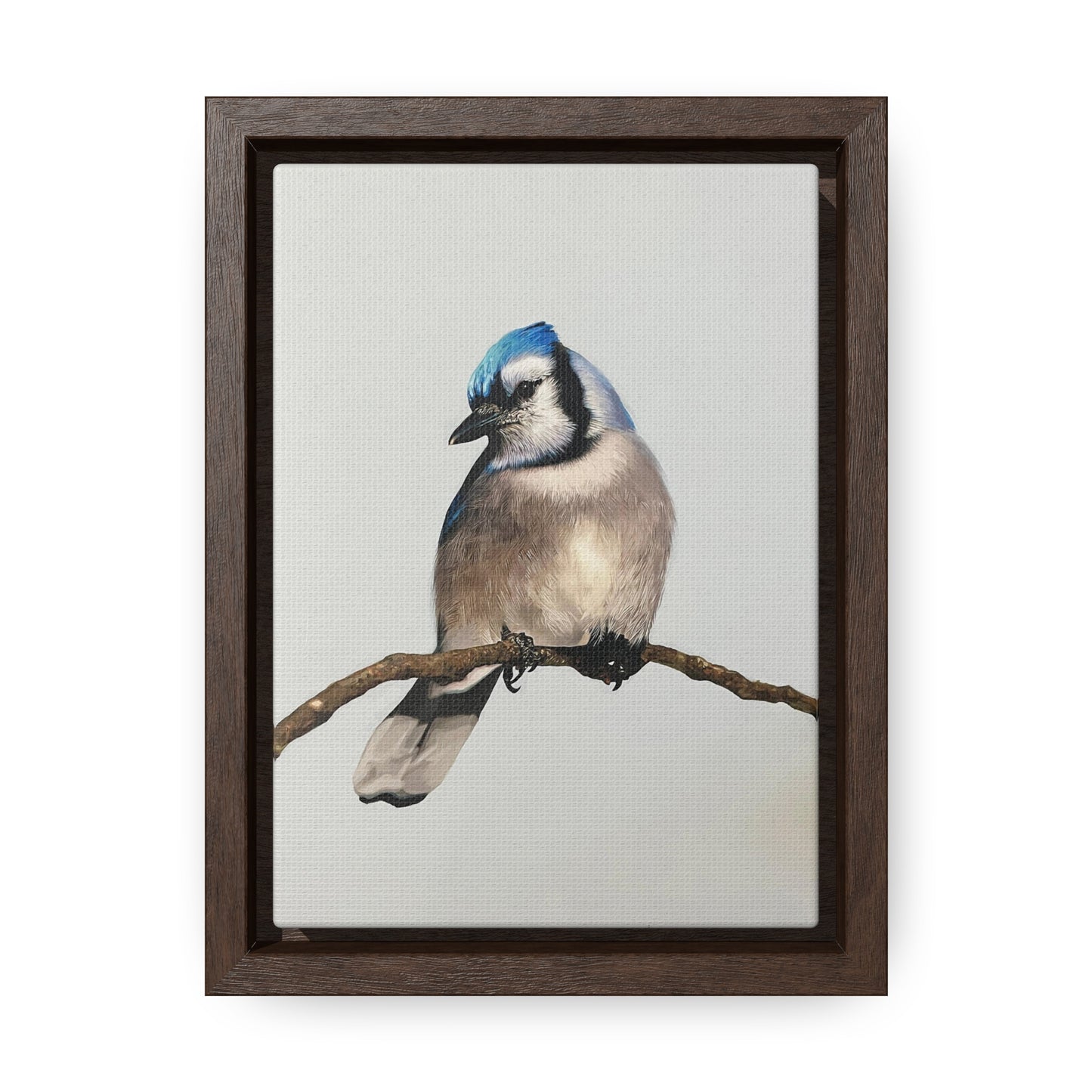 "Blue Jay" Framed Canvas