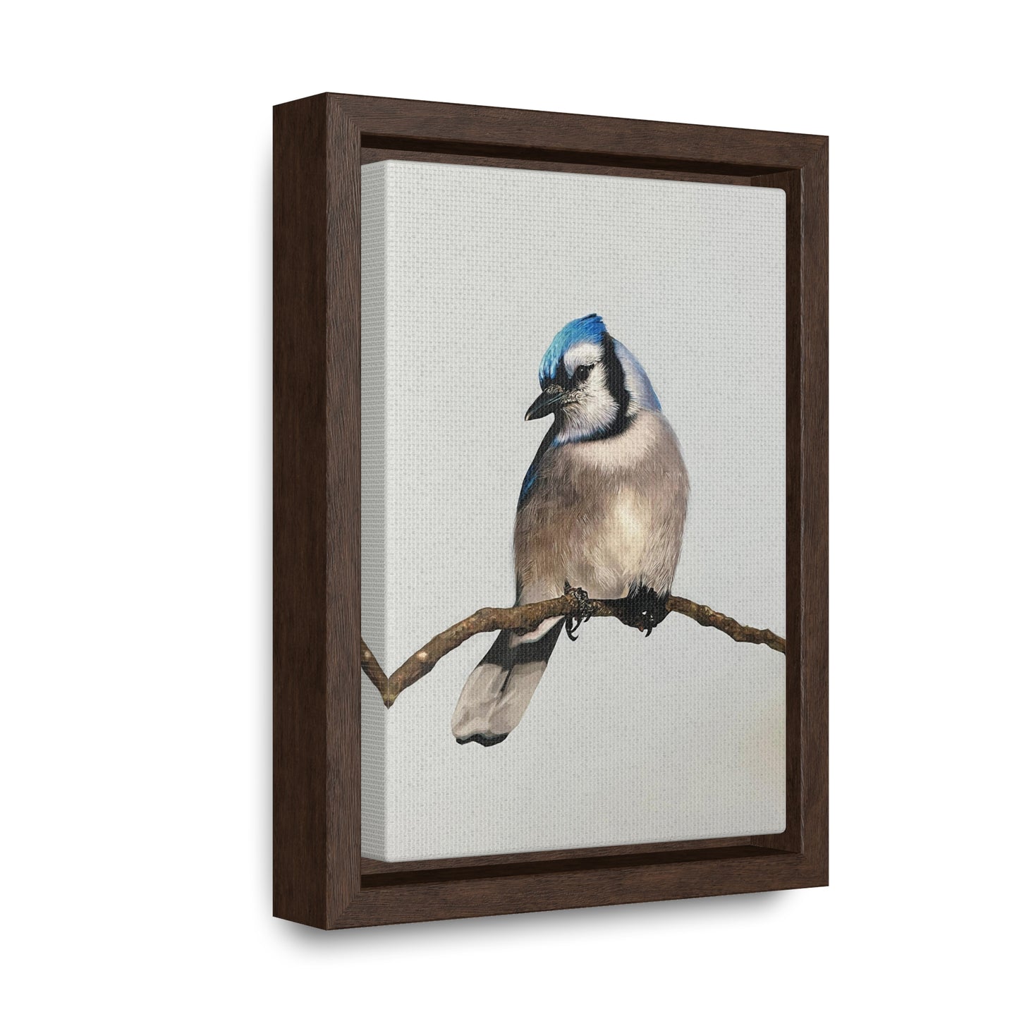 "Blue Jay" Framed Canvas