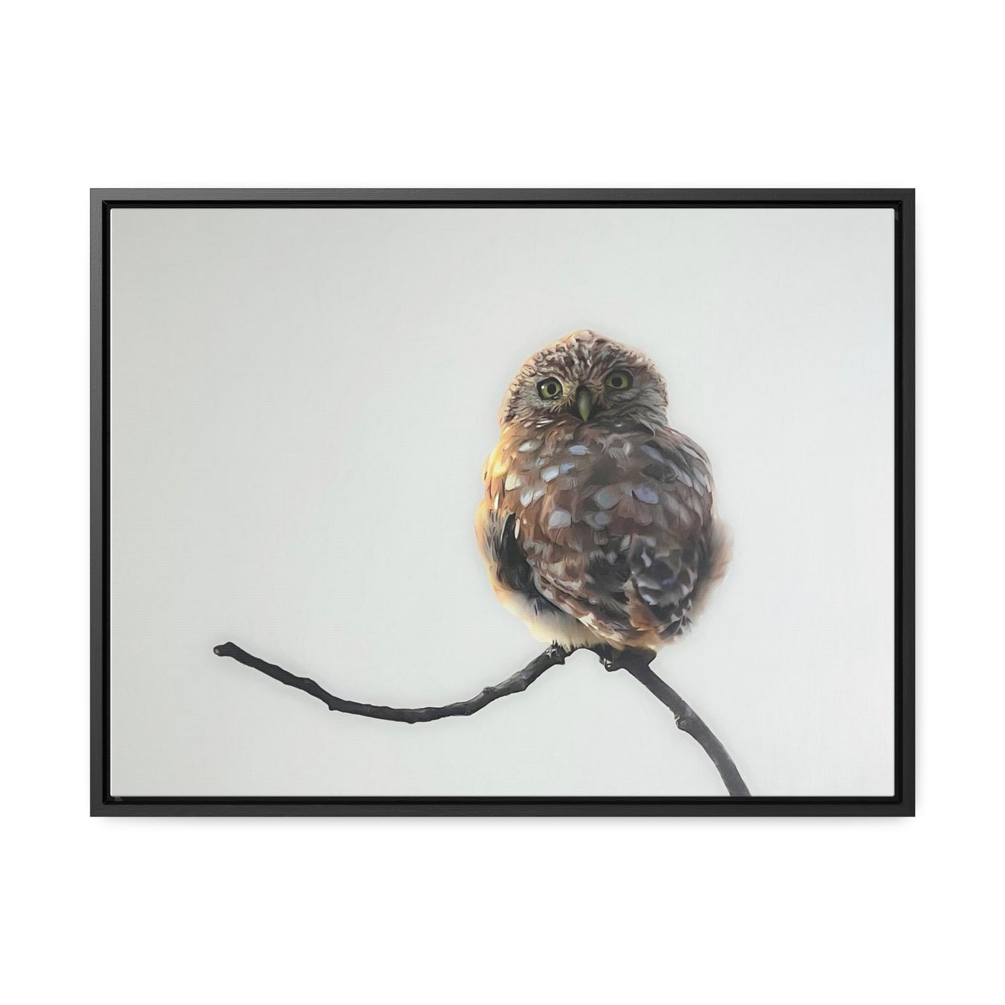 "Perched Owl" Framed Canvas