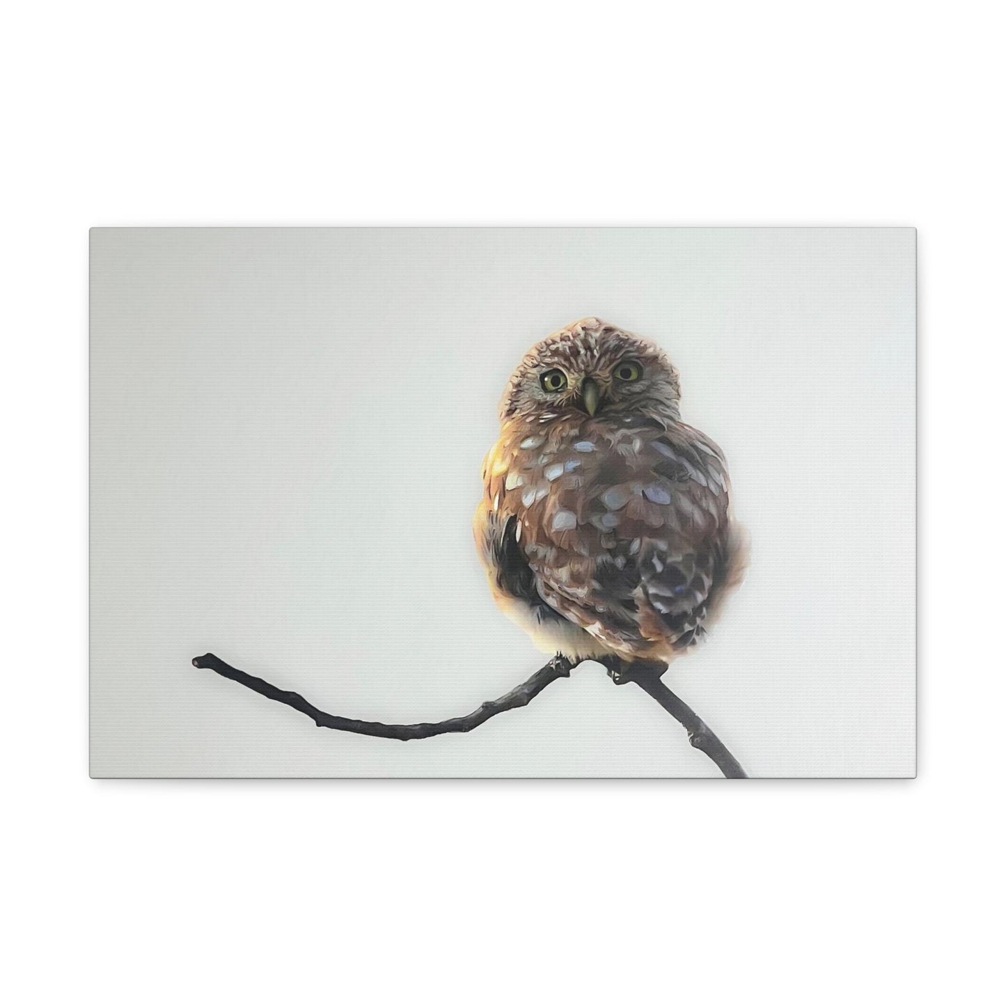 "Perched Owl" Stretched Canvas