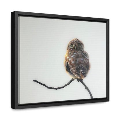 "Perched Owl" Framed Canvas