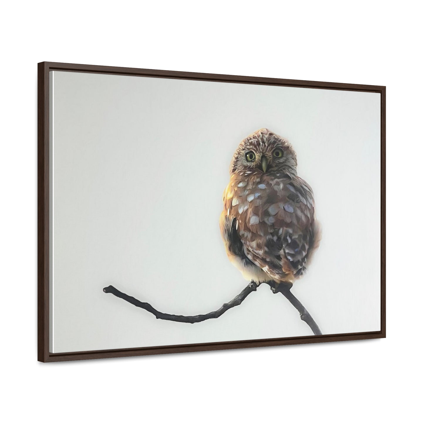 "Perched Owl" Framed Canvas