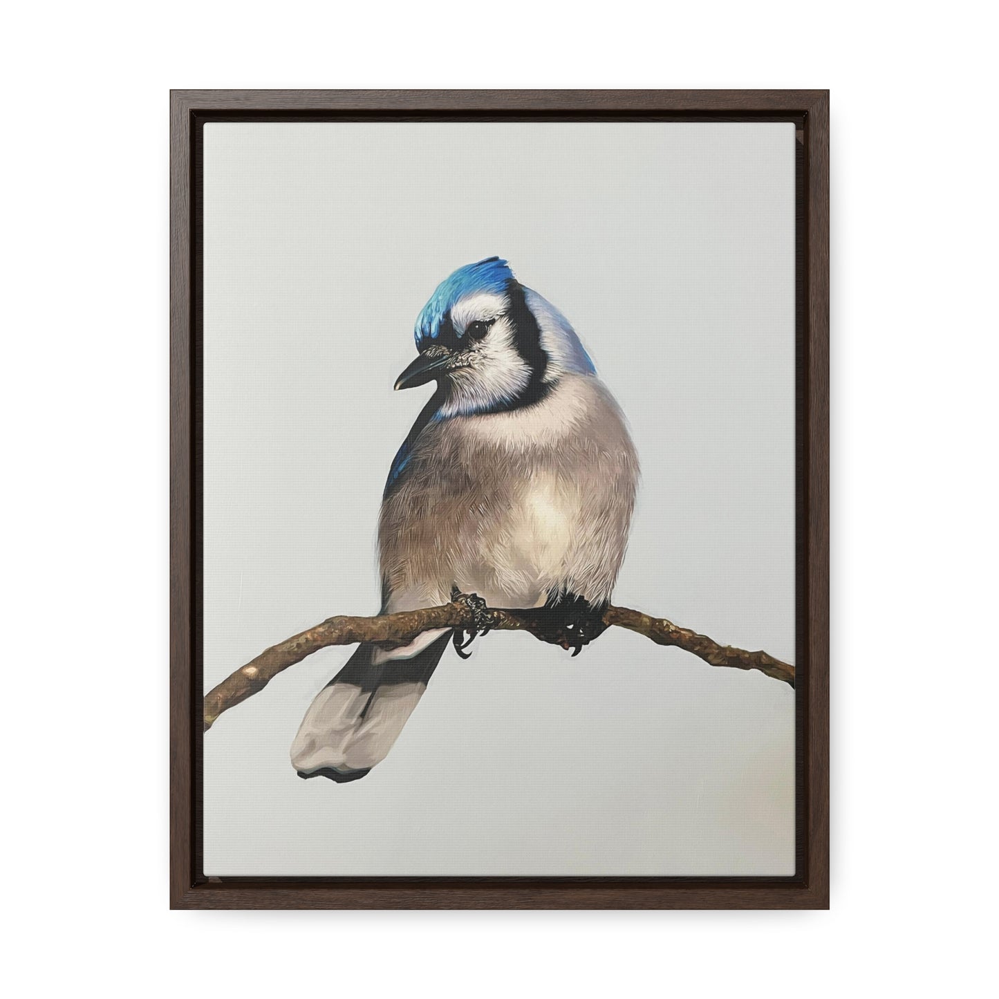 "Blue Jay" Framed Canvas