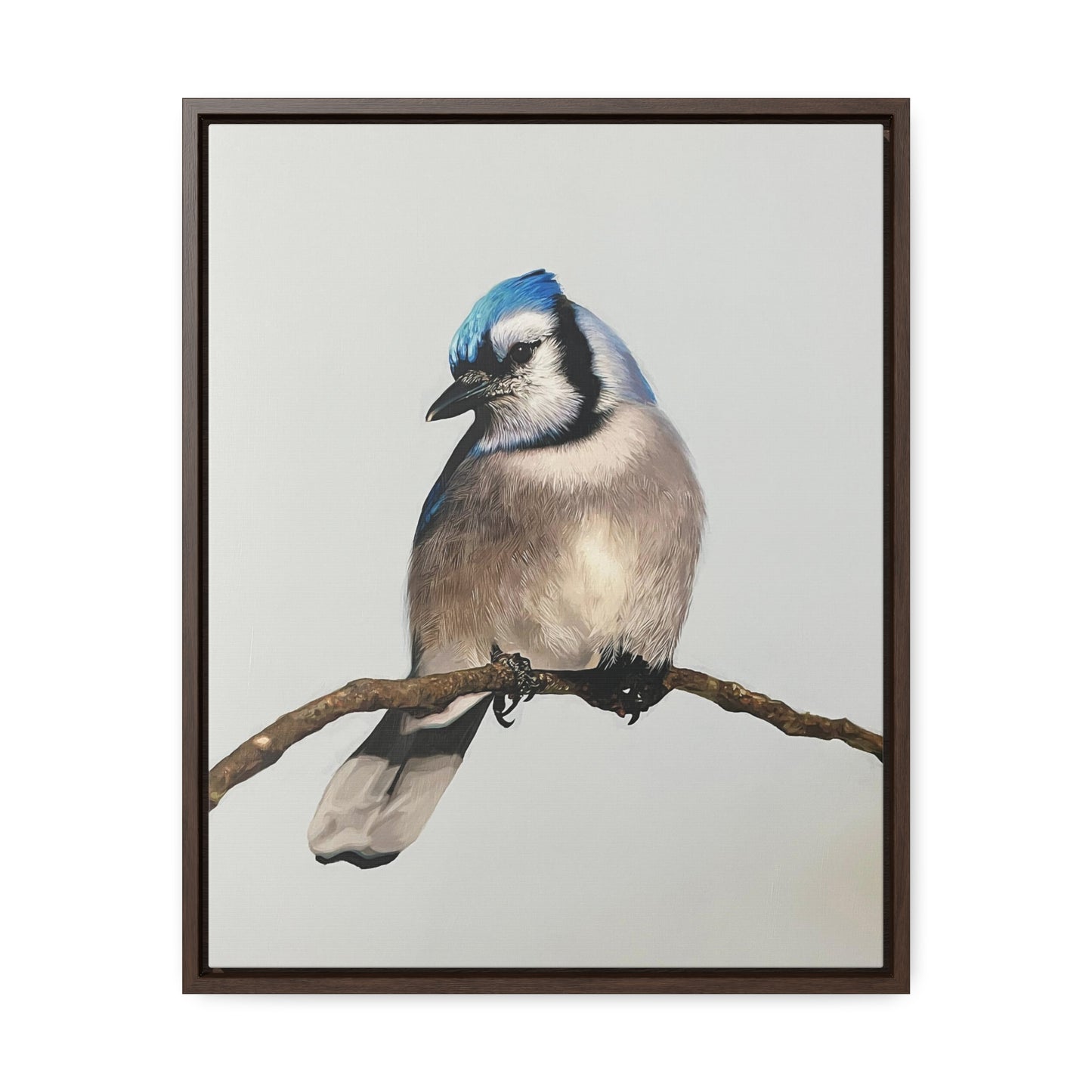 "Blue Jay" Framed Canvas