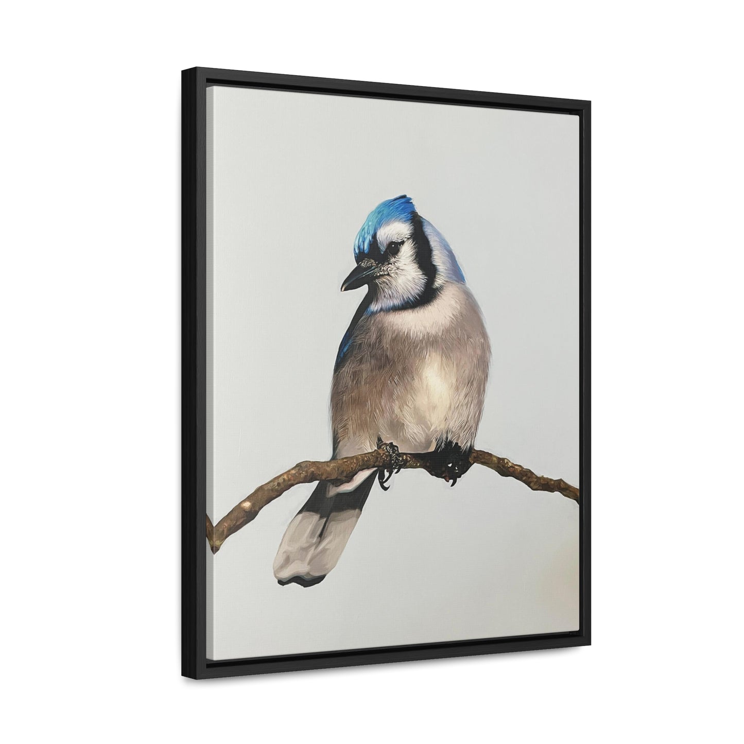 "Blue Jay" Framed Canvas