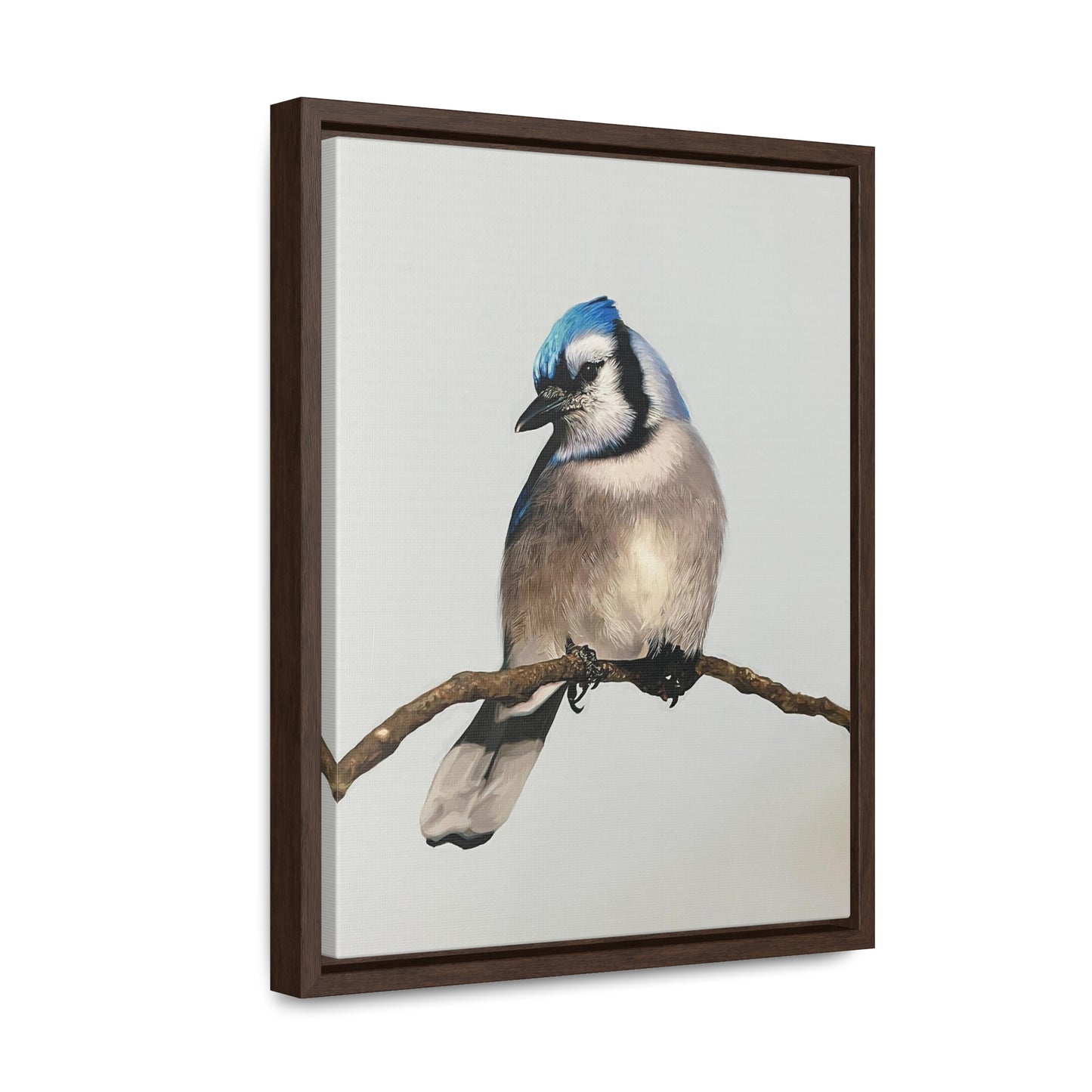 "Blue Jay" Framed Canvas