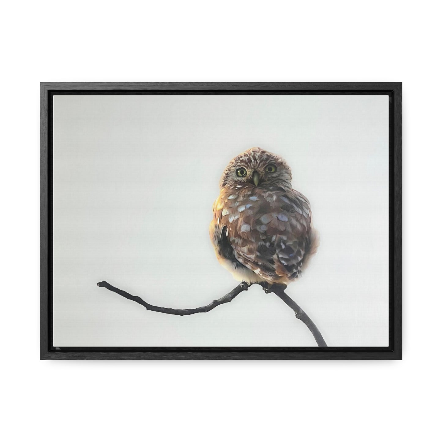 "Perched Owl" Framed Canvas