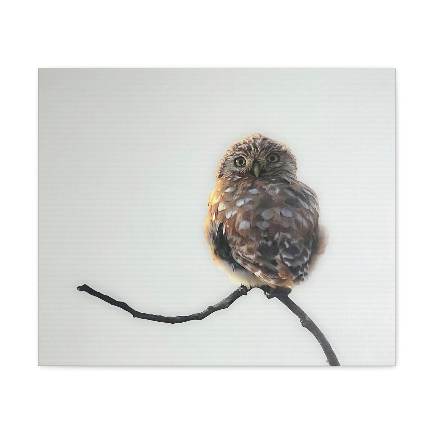 "Perched Owl" Stretched Canvas