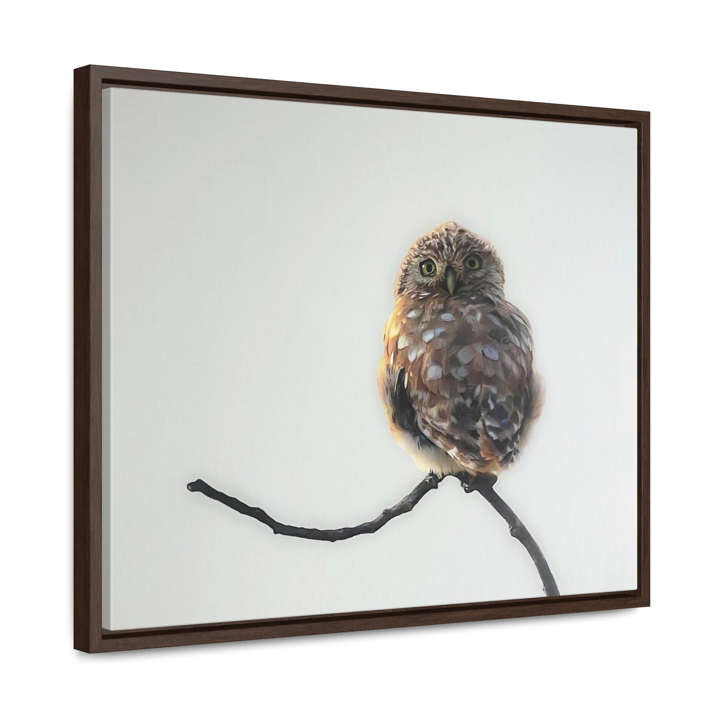 "Perched Owl" Framed Canvas