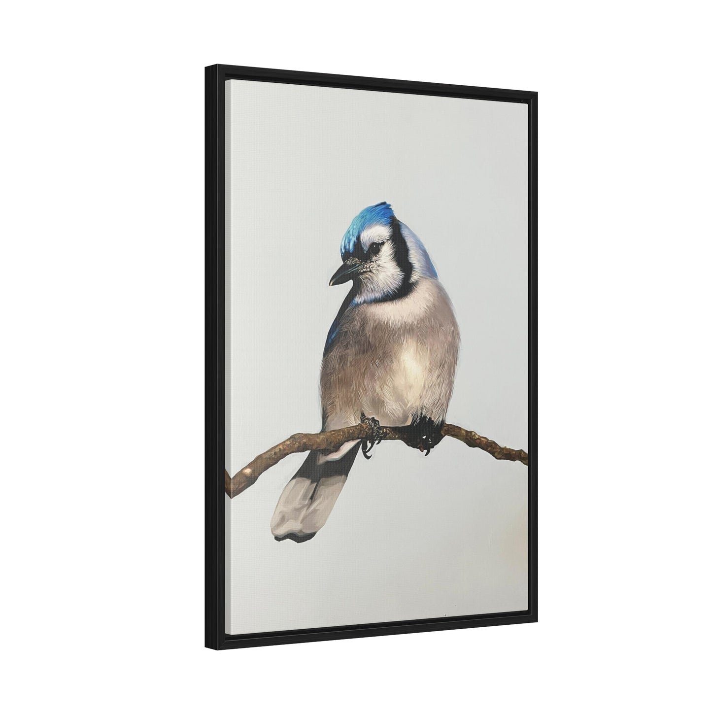 "Blue Jay" Framed Canvas