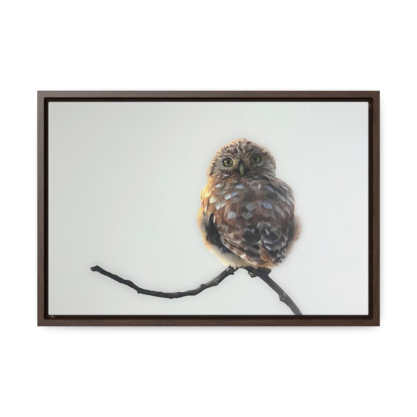 "Perched Owl" Framed Canvas