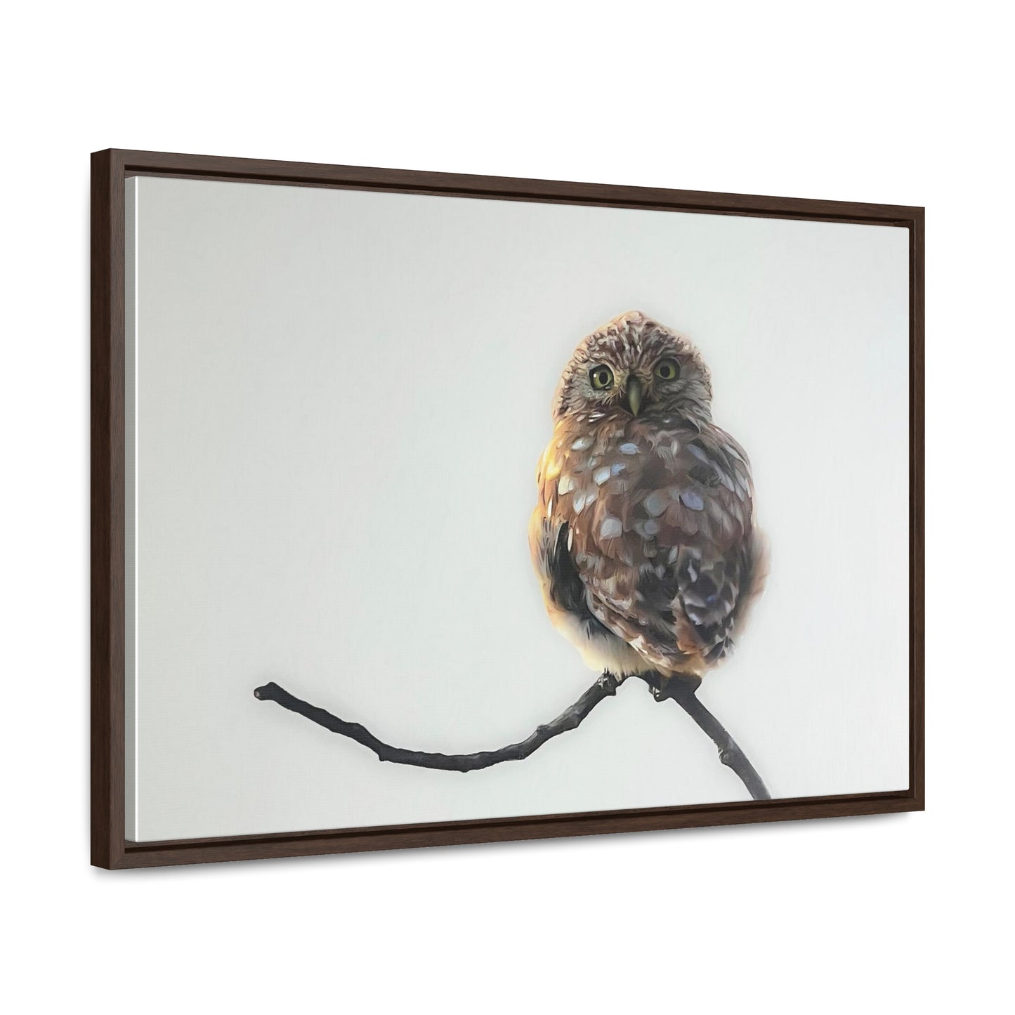 "Perched Owl" Framed Canvas