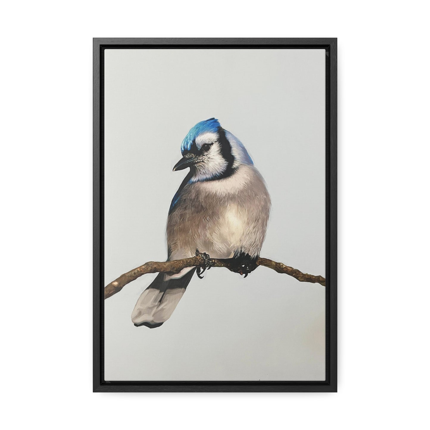 "Blue Jay" Framed Canvas