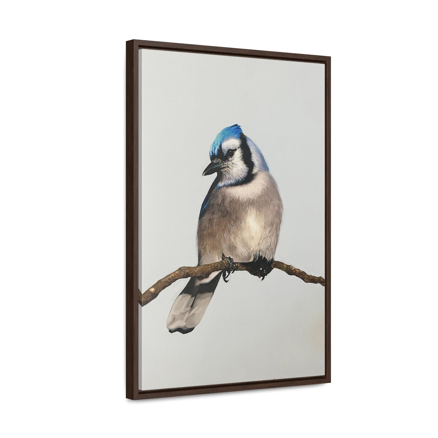 "Blue Jay" Framed Canvas