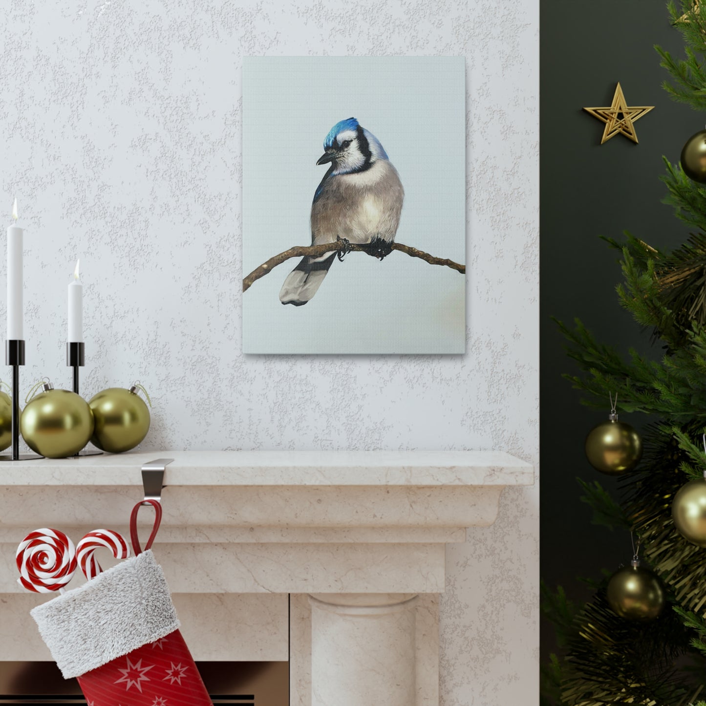 "Blue Jay" Stretched Canvas