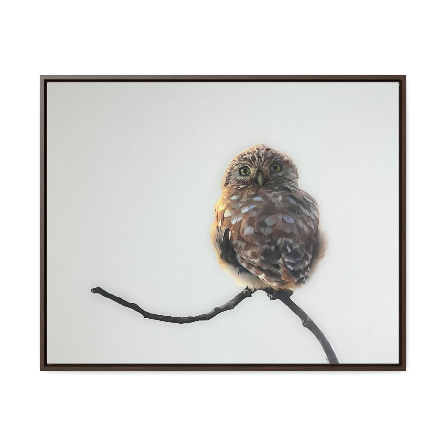 "Perched Owl" Framed Canvas