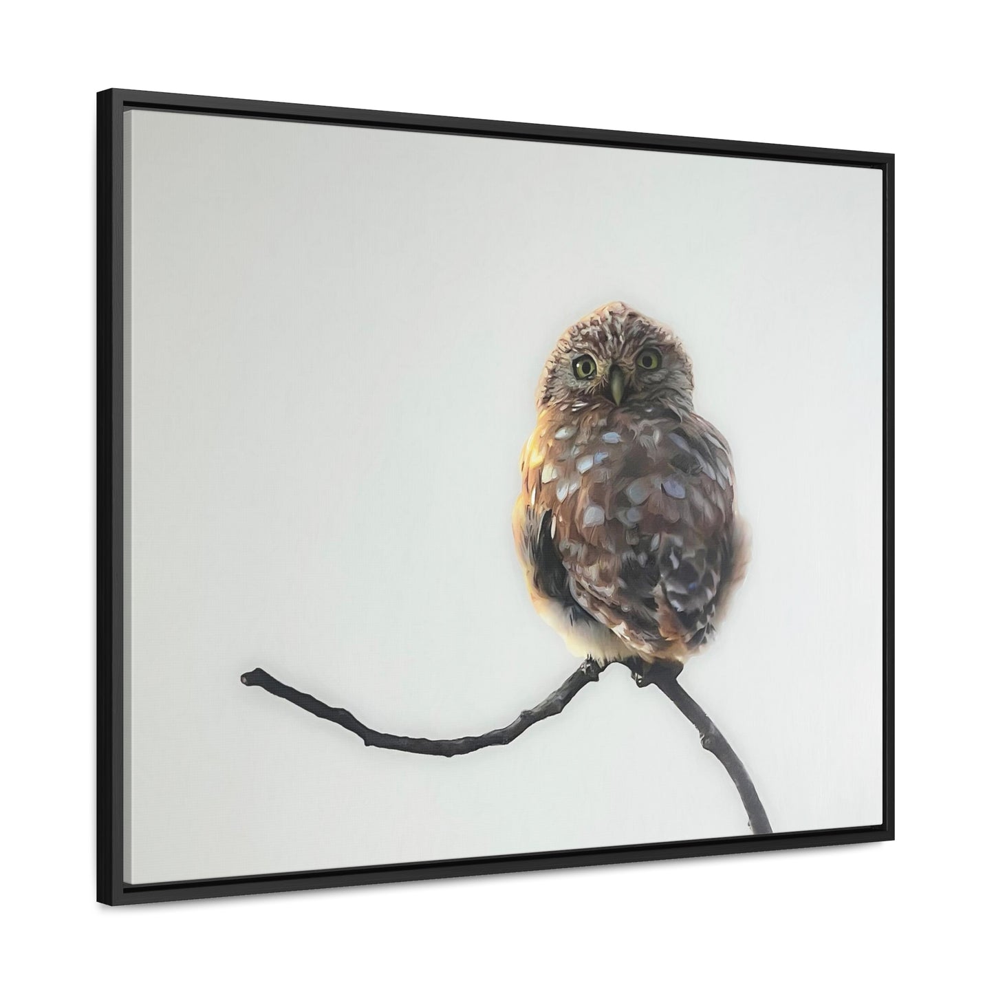 "Perched Owl" Framed Canvas