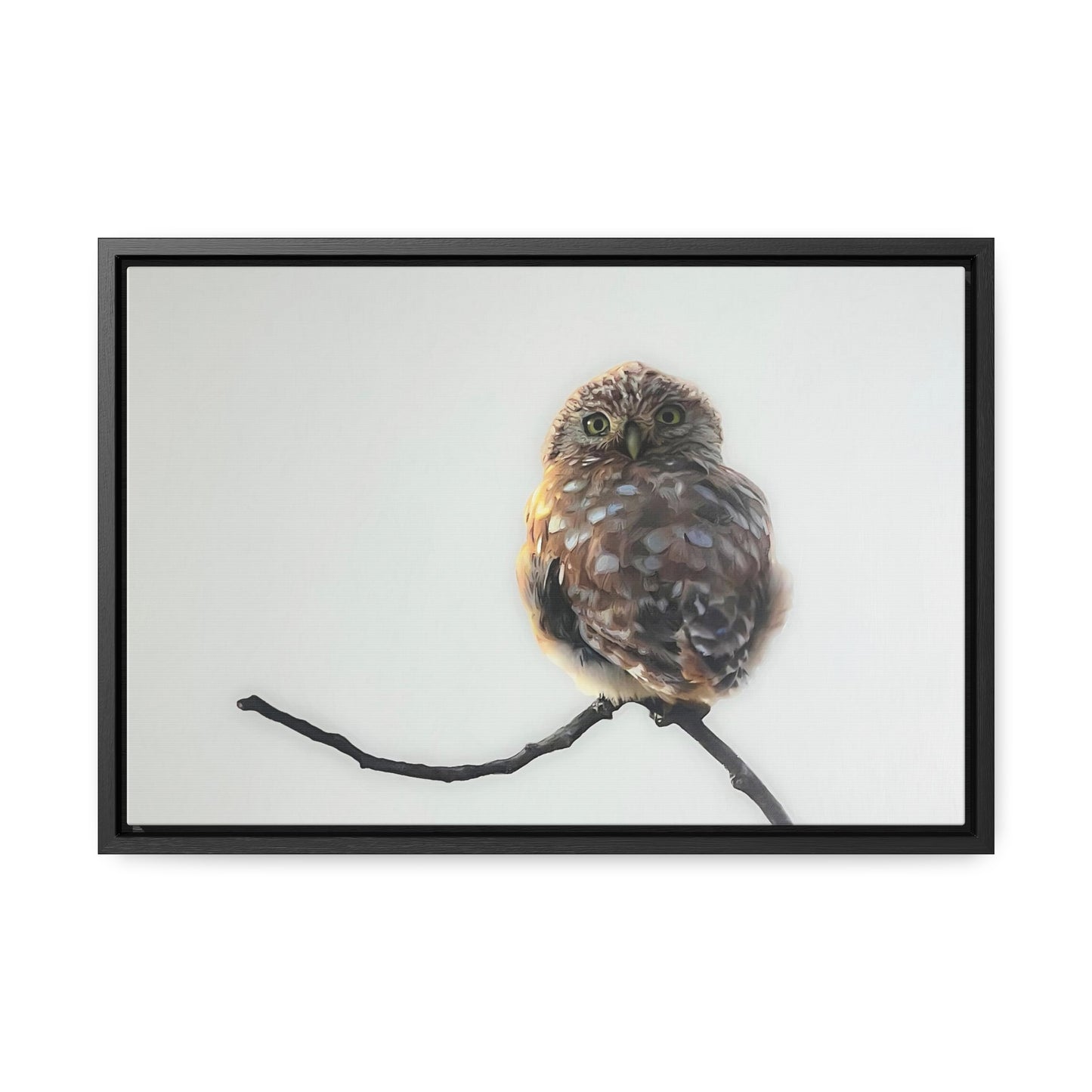 "Perched Owl" Framed Canvas