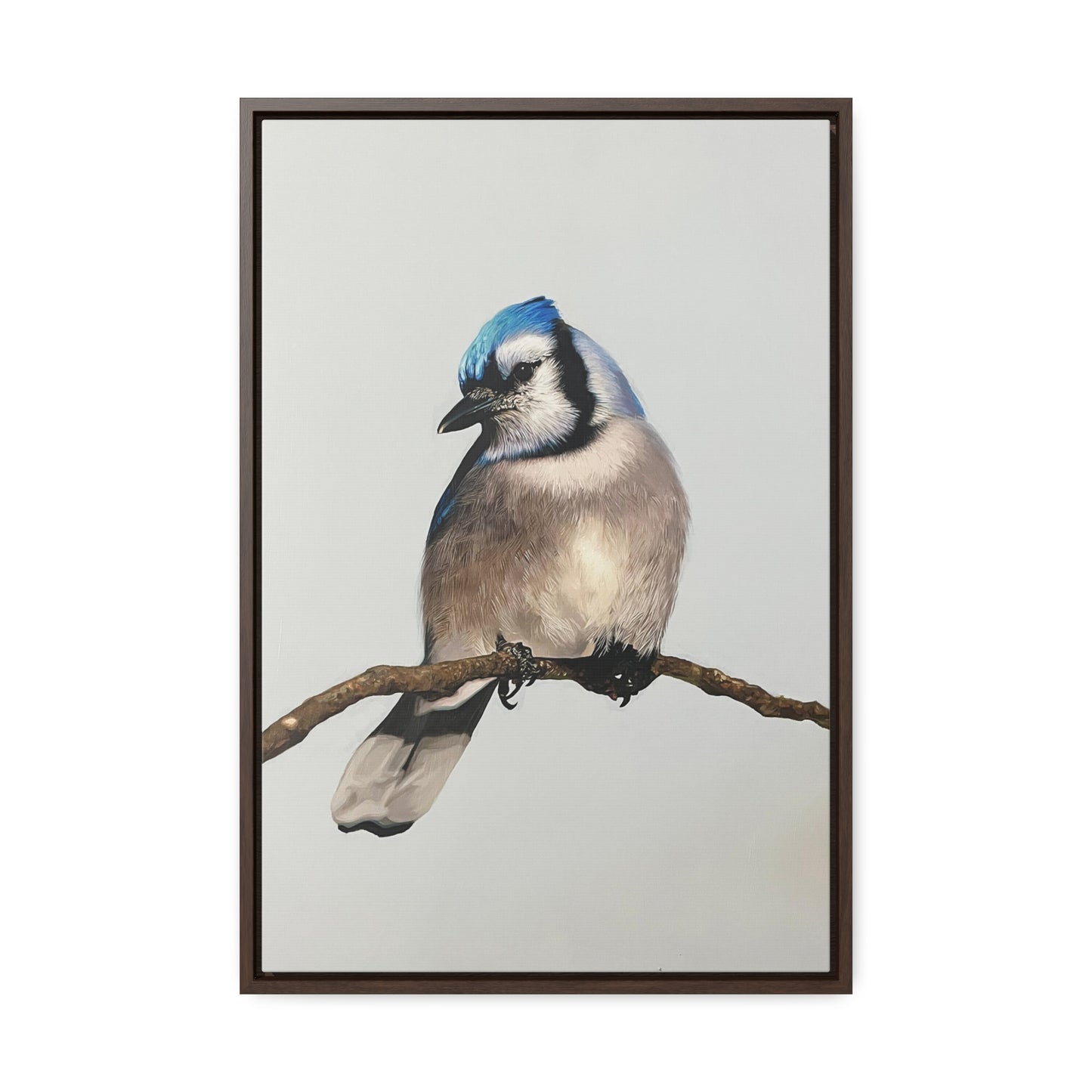 "Blue Jay" Framed Canvas