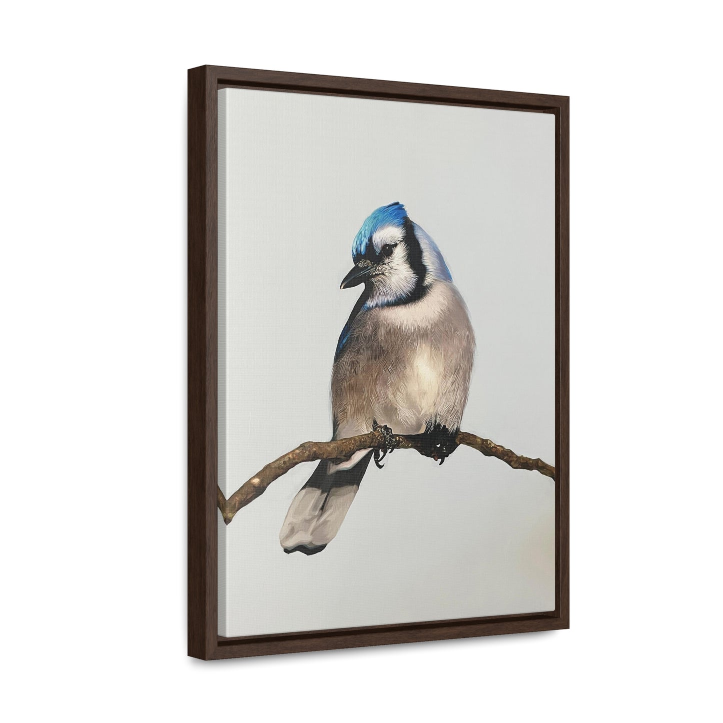 "Blue Jay" Framed Canvas