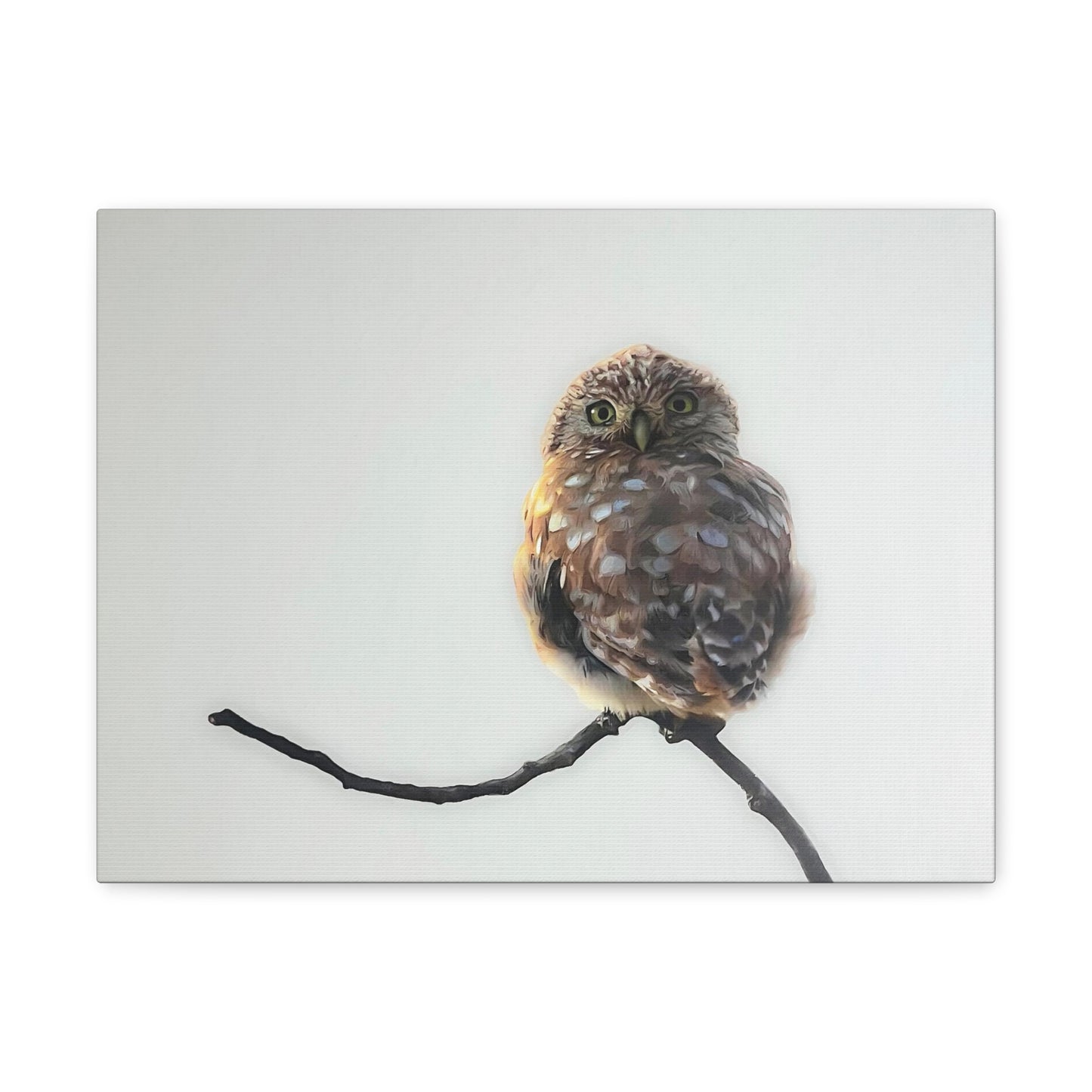 "Perched Owl" Stretched Canvas