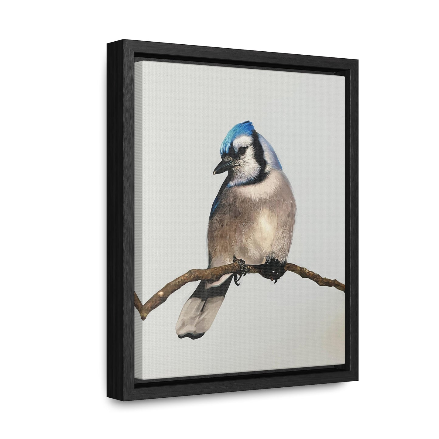 "Blue Jay" Framed Canvas