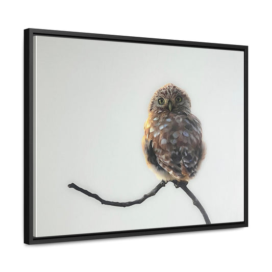 "Perched Owl" Framed Canvas