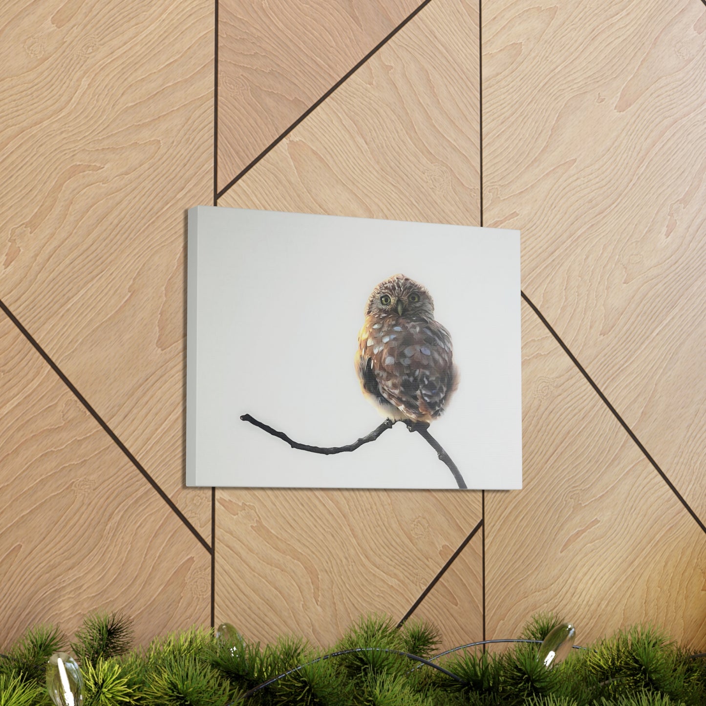 "Perched Owl" Stretched Canvas