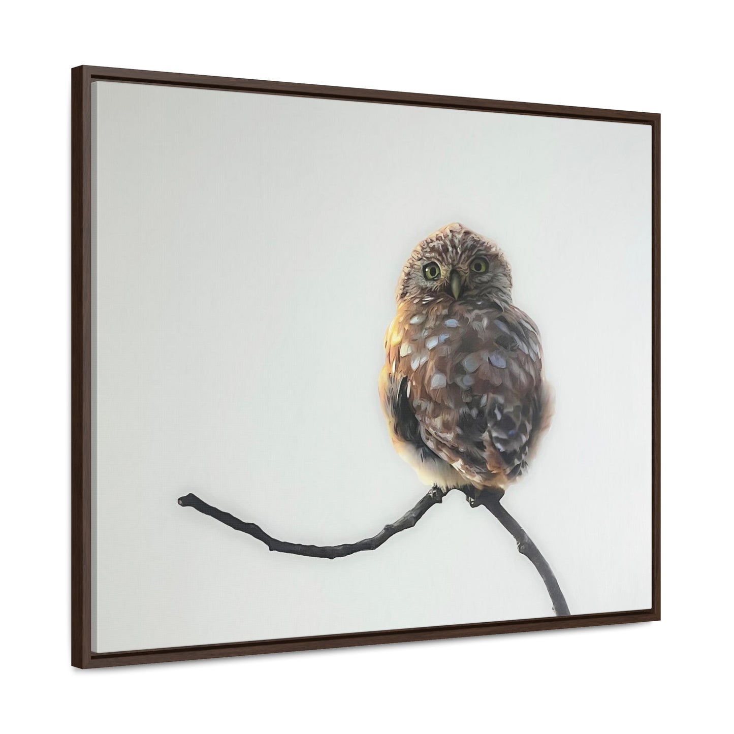 "Perched Owl" Framed Canvas