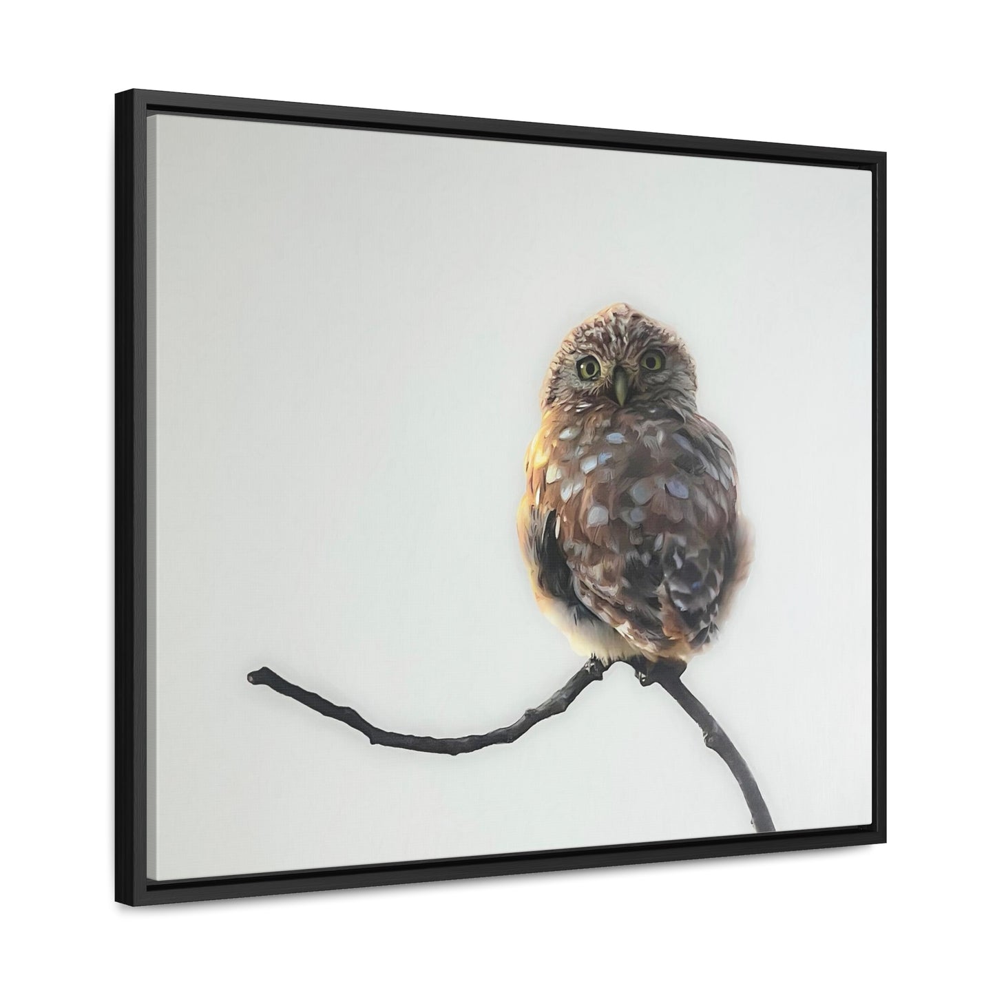 "Perched Owl" Framed Canvas