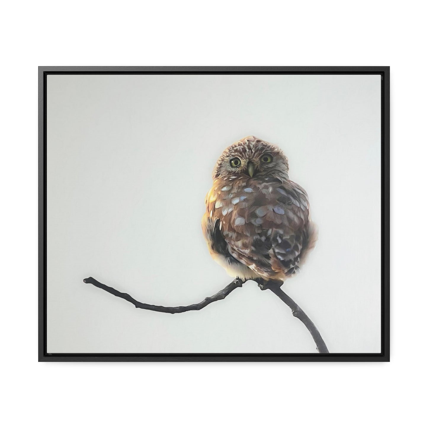 "Perched Owl" Framed Canvas