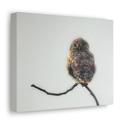 "Perched Owl" Stretched Canvas