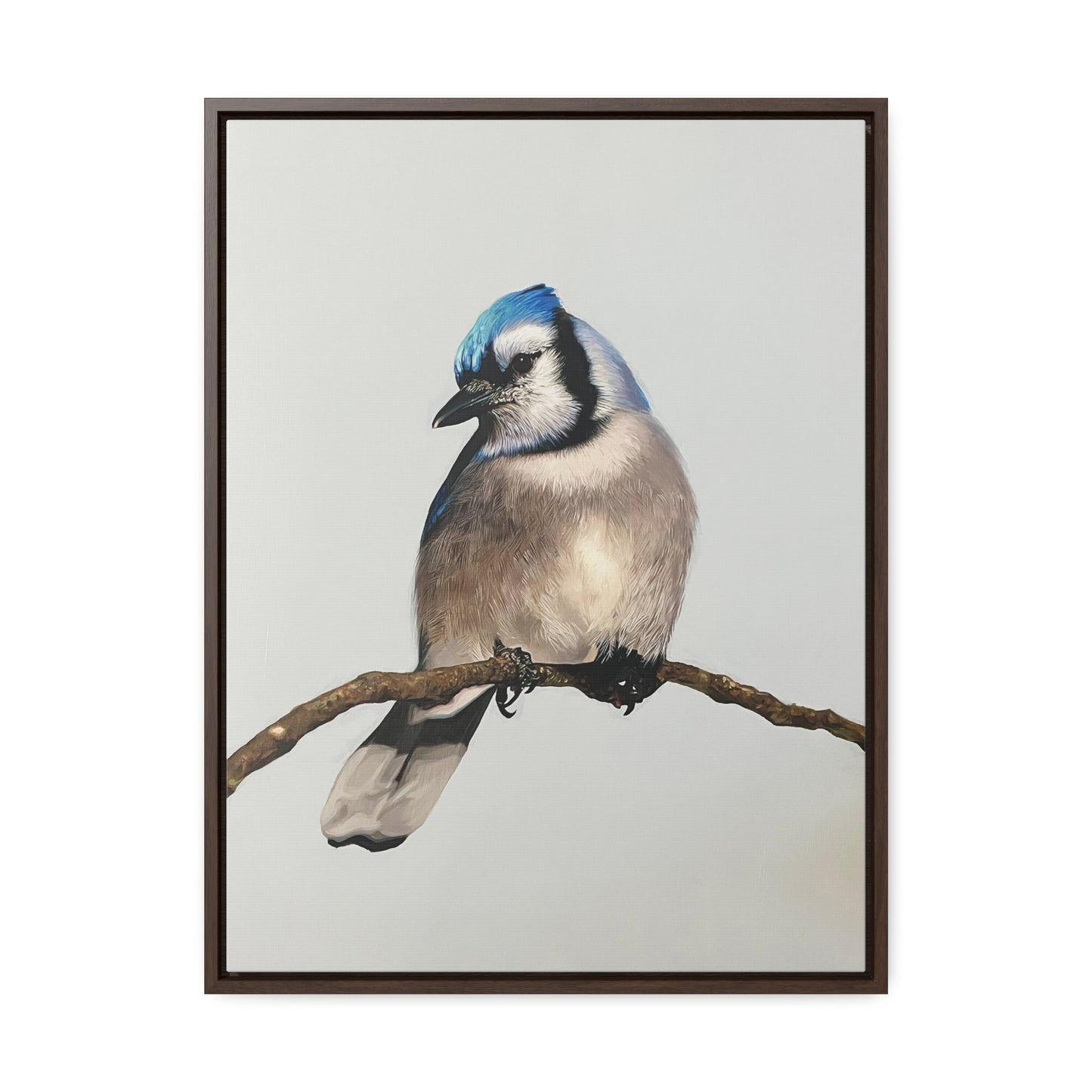 "Blue Jay" Framed Canvas