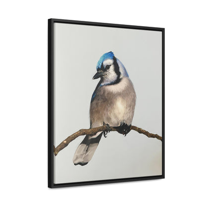 "Blue Jay" Framed Canvas