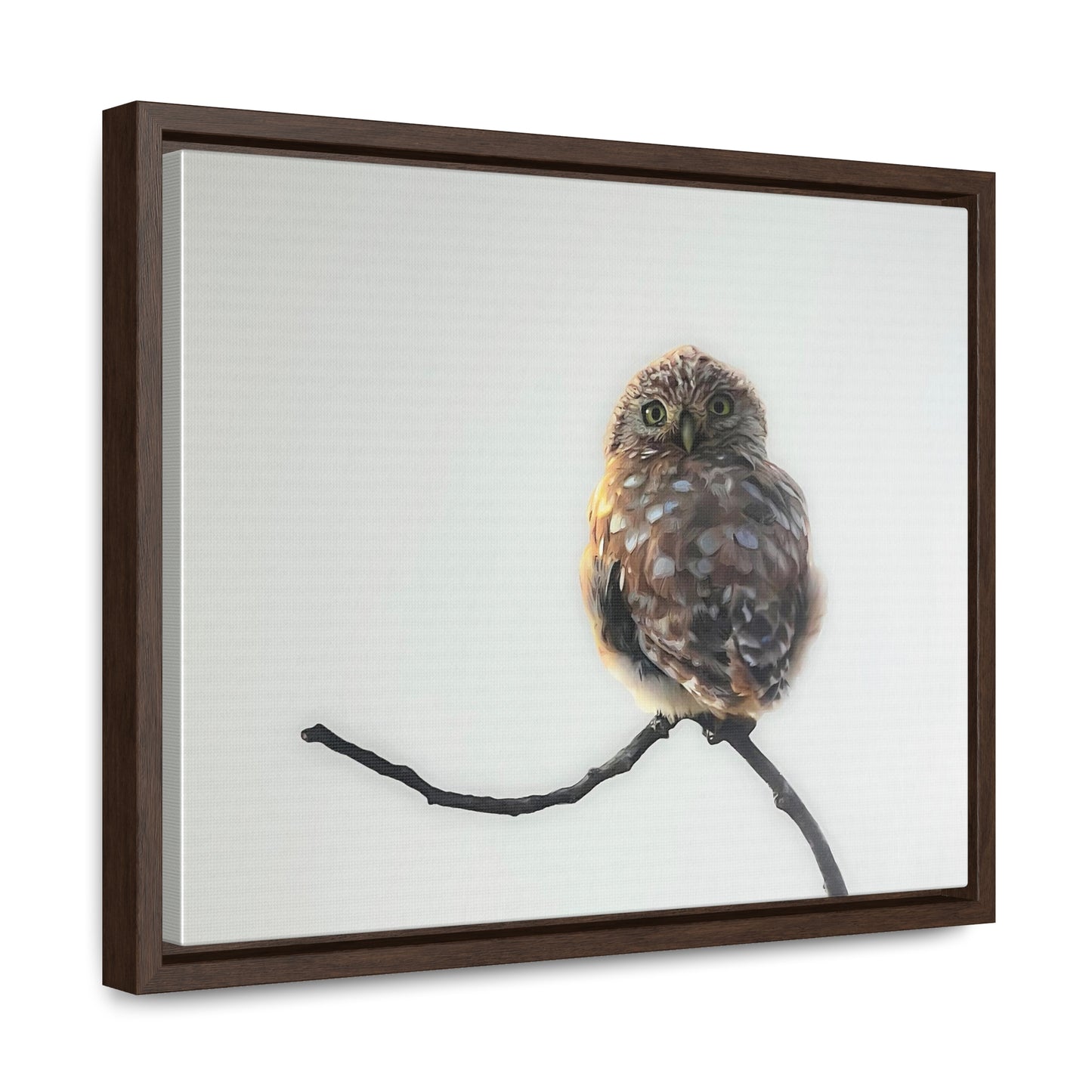 "Perched Owl" Framed Canvas