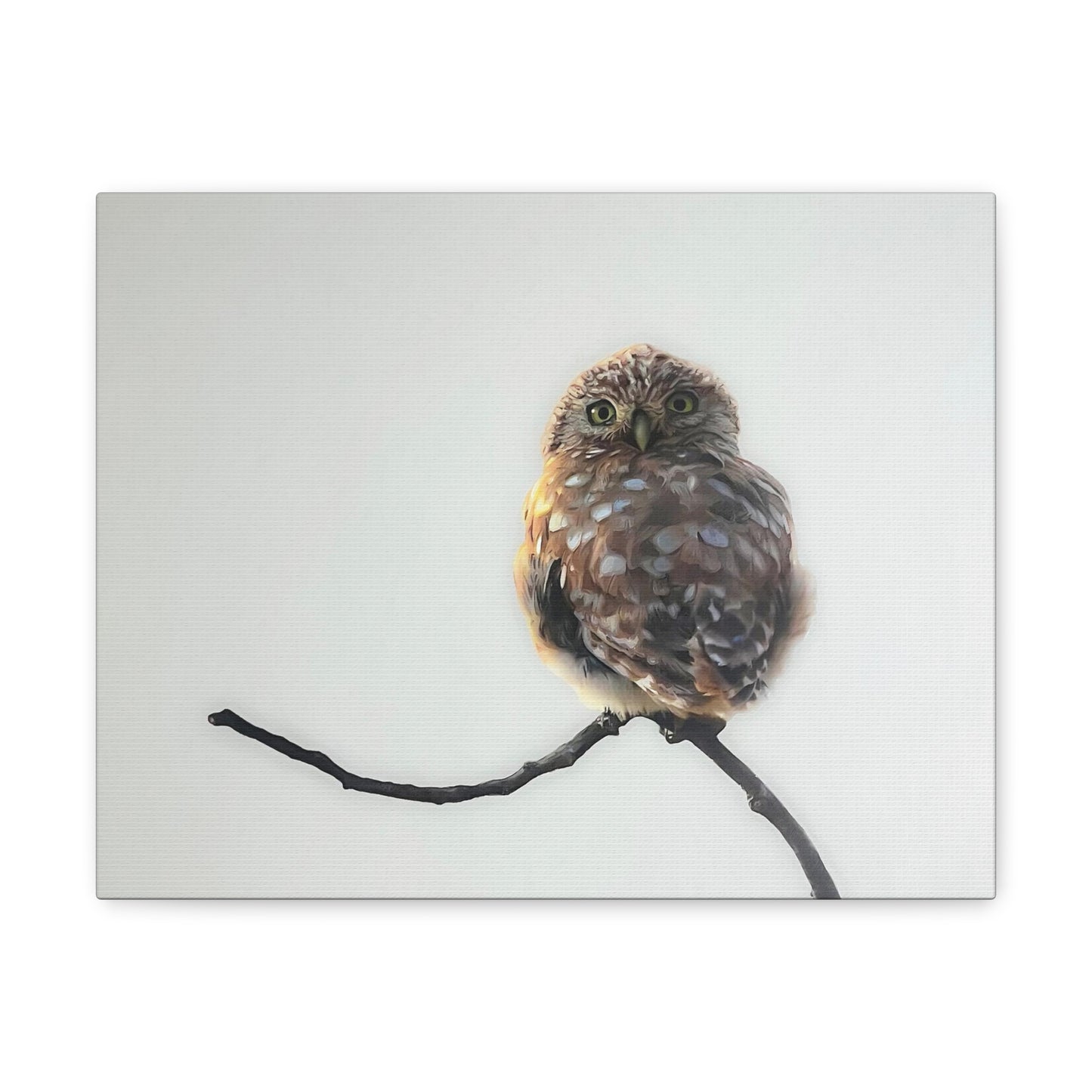 "Perched Owl" Stretched Canvas