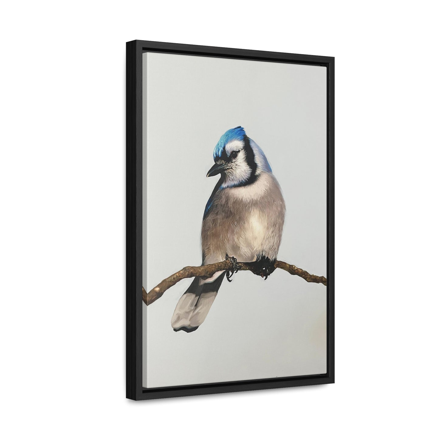 "Blue Jay" Framed Canvas