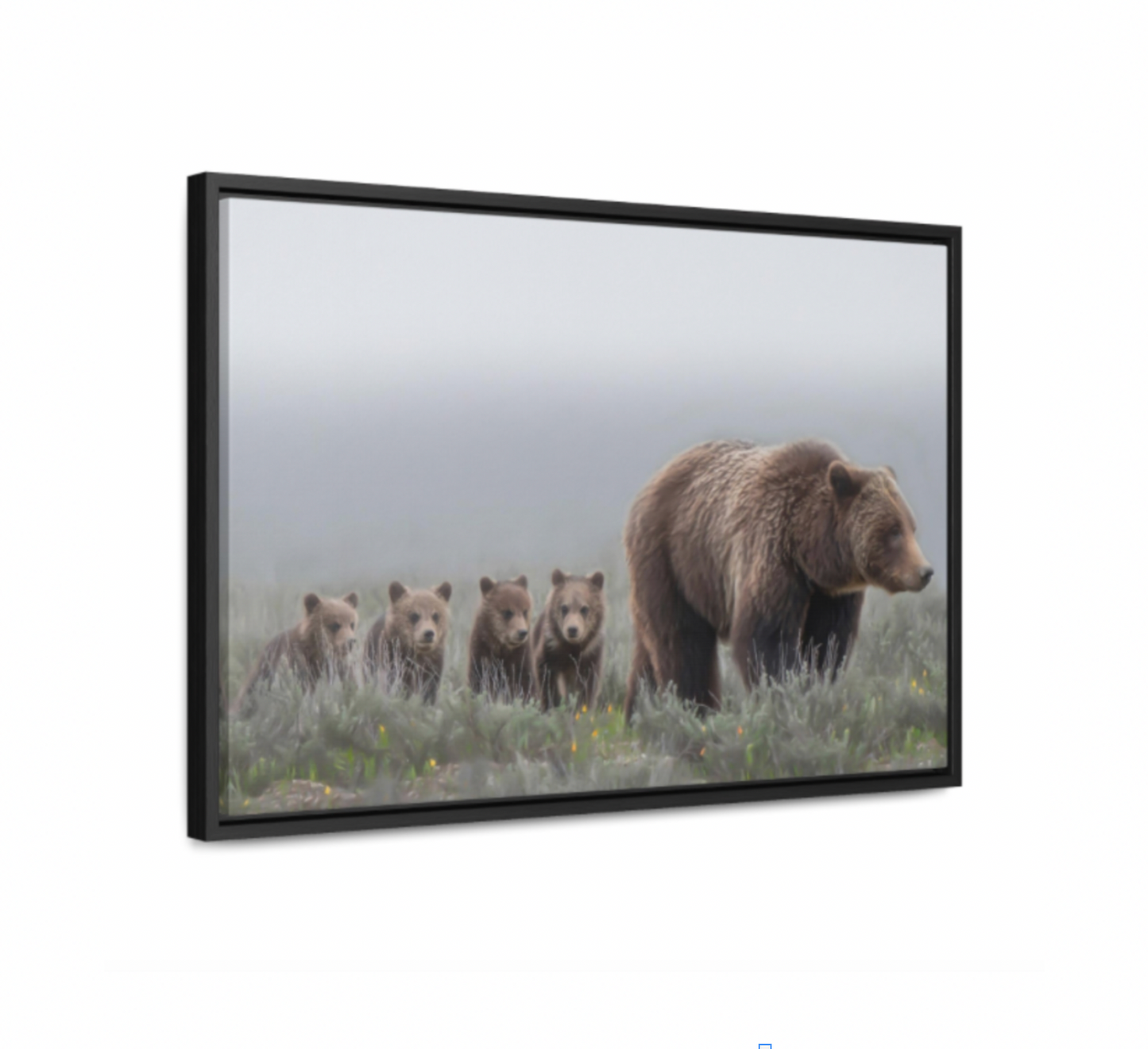 "Grizzly 399" Framed Canvas