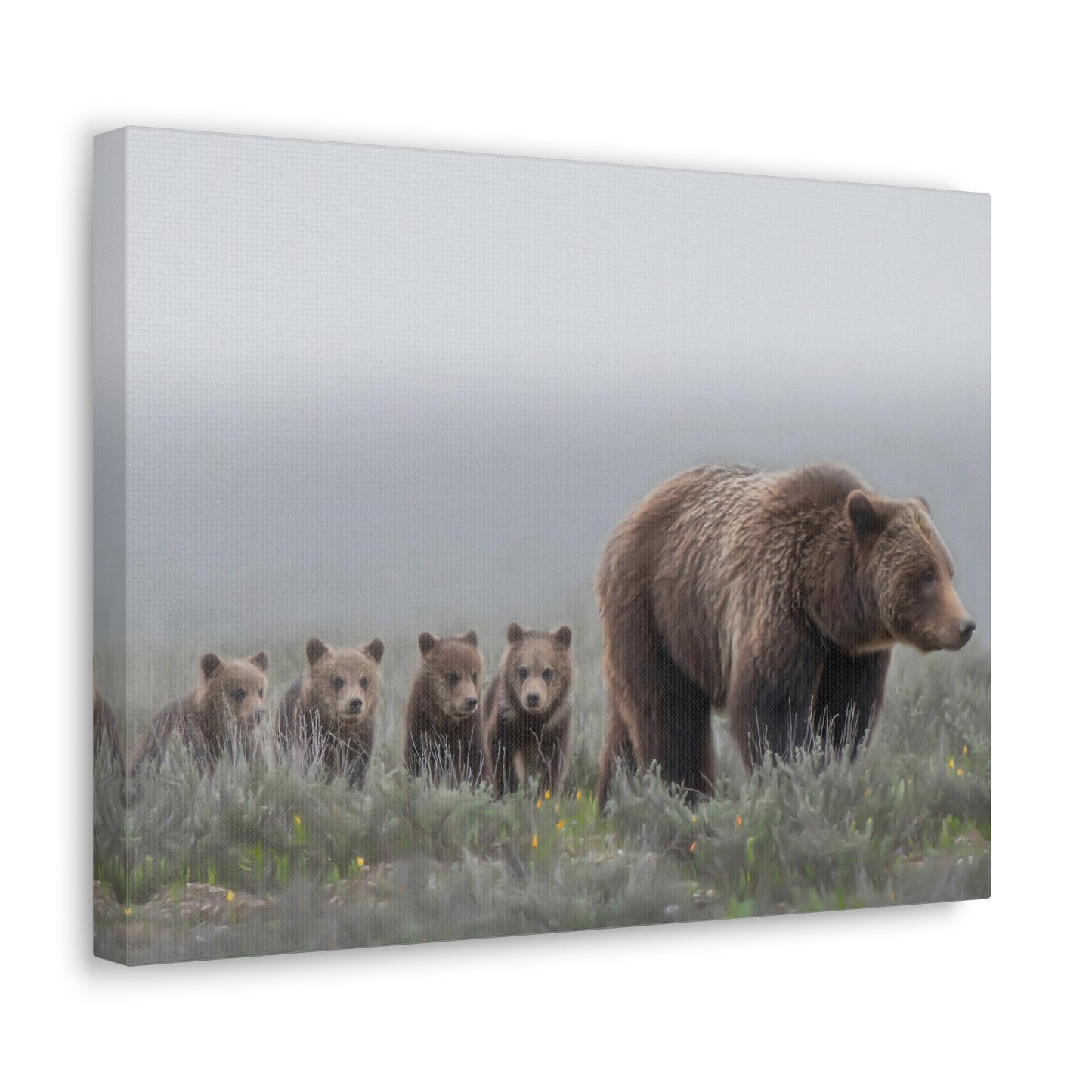 "Grizzly 399" Stretched Canvas