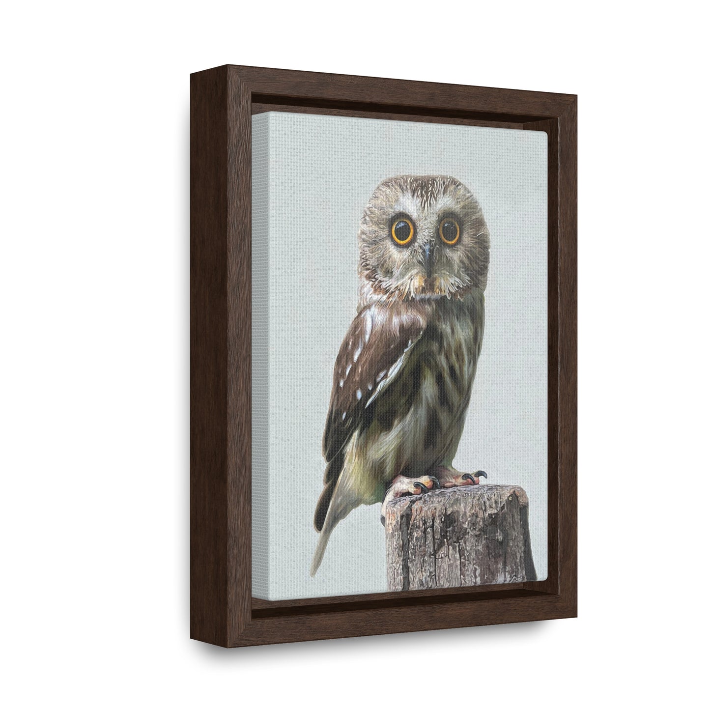 "Owl's Gaze" Framed Canvas