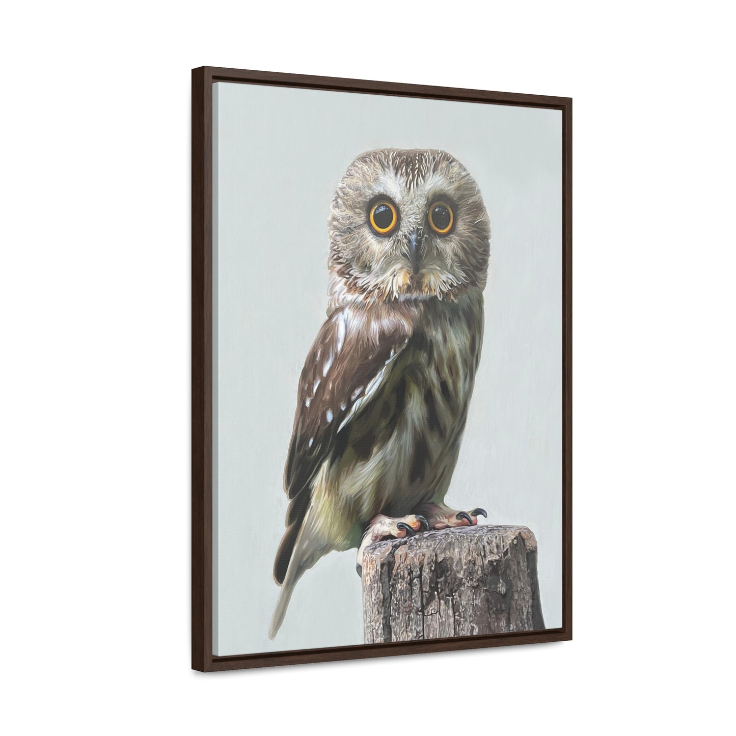 "Owl's Gaze" Framed Canvas