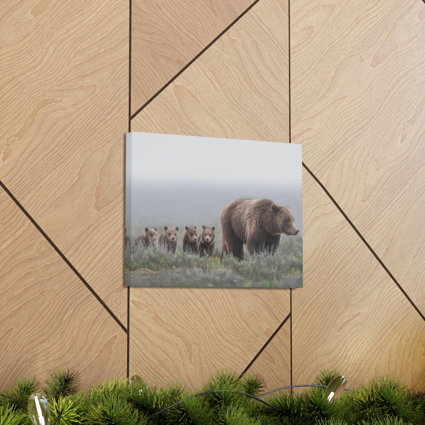 "Grizzly 399" Stretched Canvas