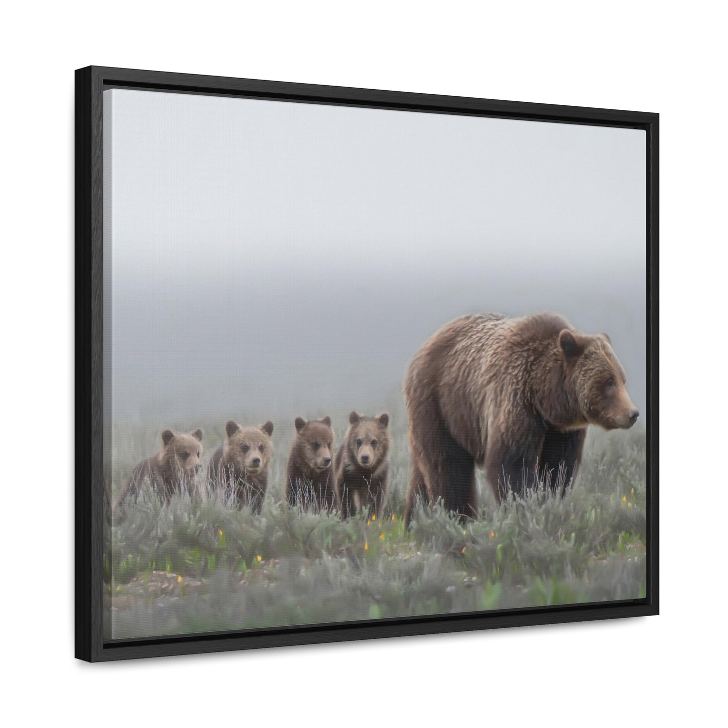 "Grizzly 399" Framed Canvas