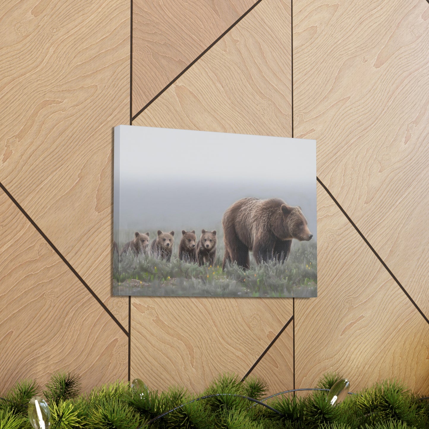 "Grizzly 399" Stretched Canvas