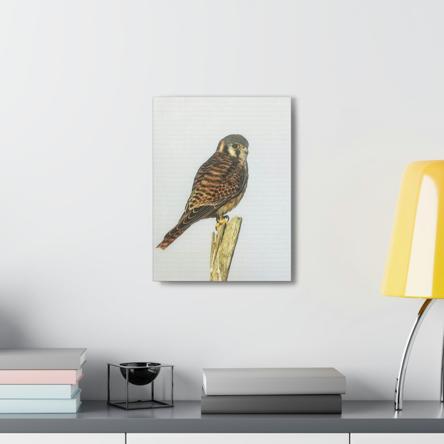 "Kestrel" Stretched Canvas