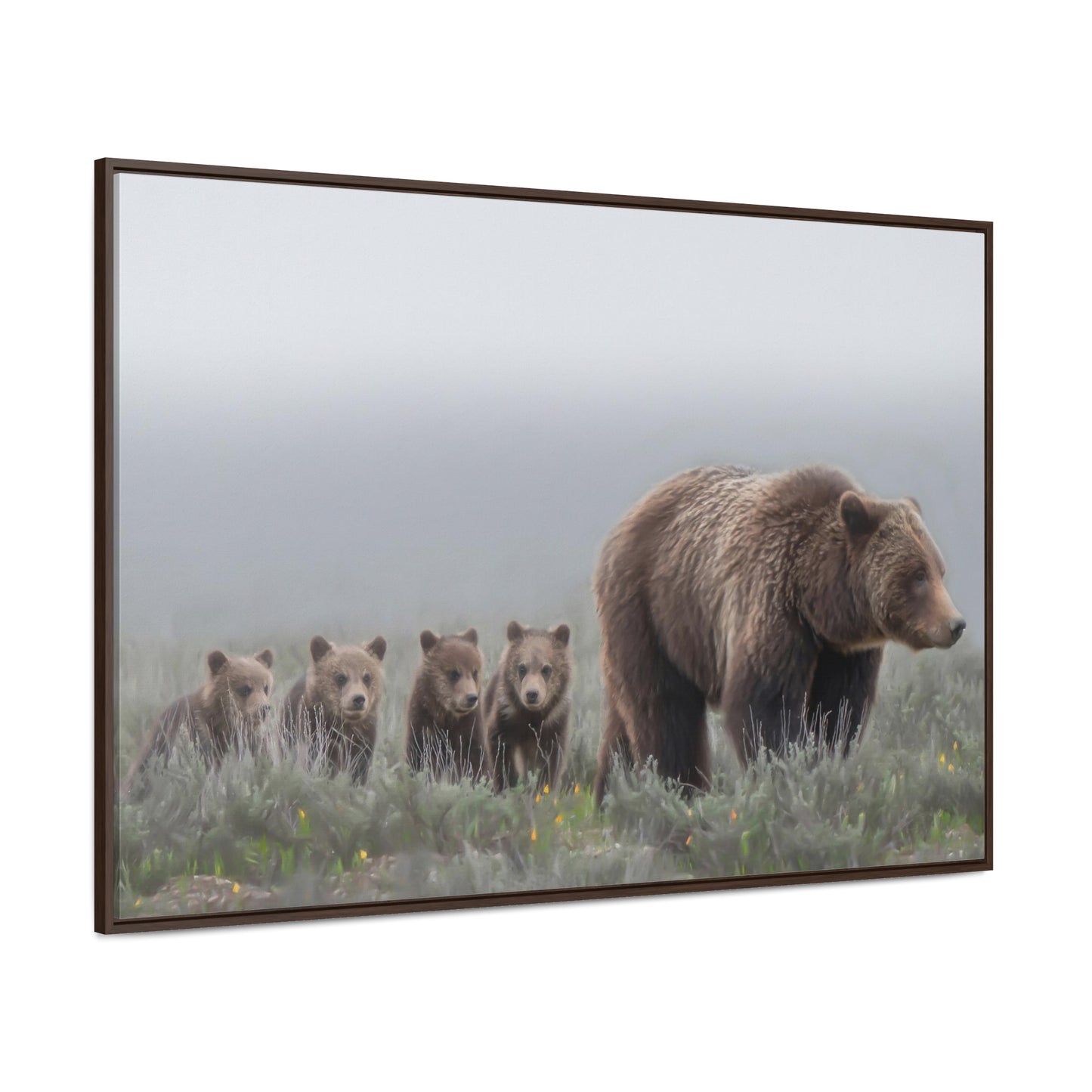 "Grizzly 399" Framed Canvas