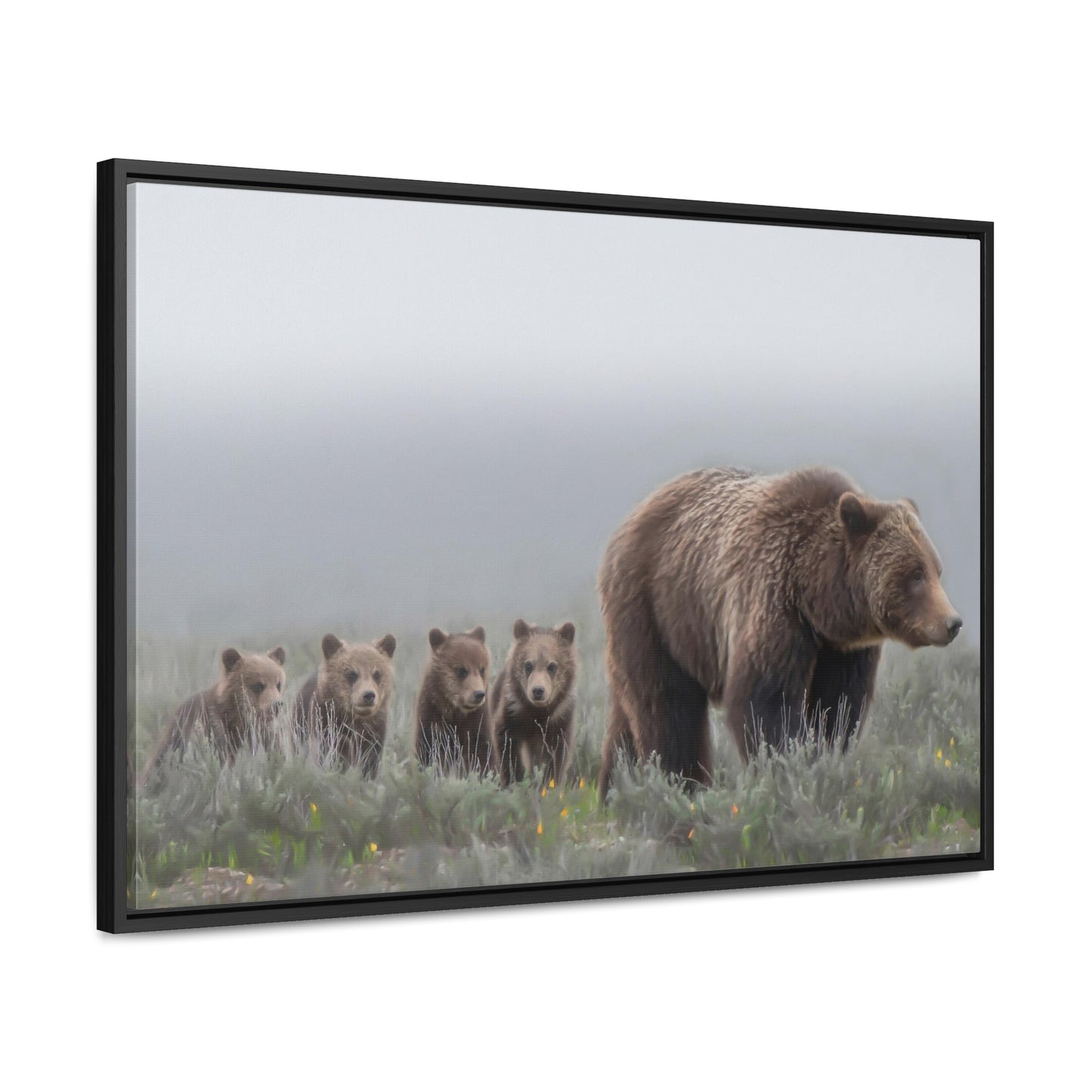 "Grizzly 399" Framed Canvas